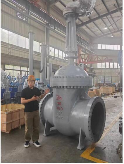 行走閥門江湖數(shù)十載！挺宇流體智能化新工廠預(yù)計2026年10月投入使用，開啟文化傳播新篇章